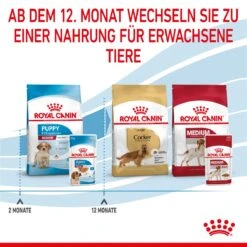 Royal Canin Medium Puppy Frischebeutel 10 X 140 G Frischebeutel Für Hunde 17 Royal Canin Medium Puppy Frischebeutel 10 X 140 G Frischebeutel Für Hunde -Haustier Lieferungen Geschäft n7NvOEGhibri 9003579008324 4711 8