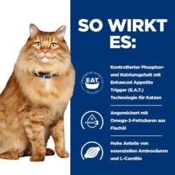 Hills K/d + Mobility Frischebeutel Für Katzen 12 X 85 G Frischebeutel Für Katzen 11 Hills K/d + Mobility Frischebeutel Für Katzen 12 X 85 G Frischebeutel Für Katzen -Haustier Lieferungen Geschäft nEzvosmhPO44 52742011561 3