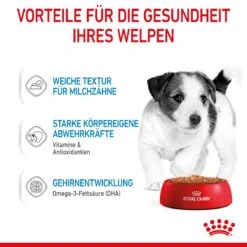 Royal Canin Mini Puppy Frischebeutel 12 X 85 G Frischebeutel Für Hunde 13 Royal Canin Mini Puppy Frischebeutel 12 X 85 G Frischebeutel Für Hunde -Haustier Lieferungen Geschäft o0XAoWBVDsbt 9003579008201 4701 4