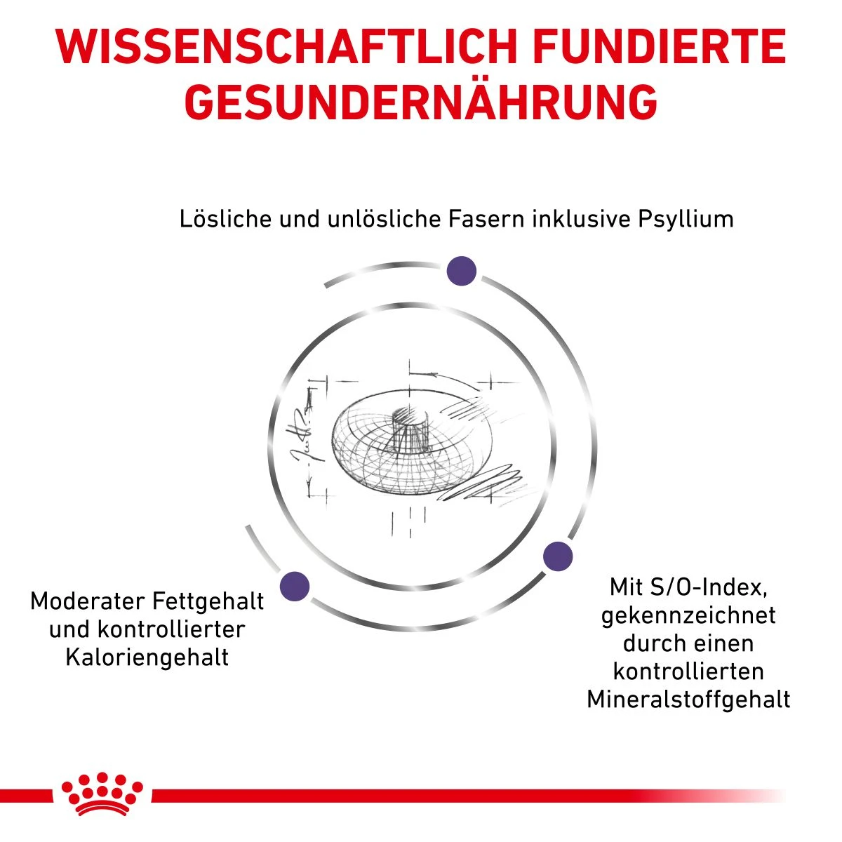 Royal Canin Neutered Adult Small Dogs Hundefutter 1,5 Kg Hundefutter 6 Royal Canin Neutered Adult Small Dogs Hundefutter 1,5 Kg Hundefutter – Bild 4