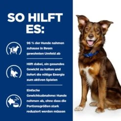 Hills Canine Metabolic Dosenfutter Für Hunde 12 X 370 G Dosenfutter Für Hunde -Haustier Lieferungen Geschäft od2UwivO6ur8 52742053059 4