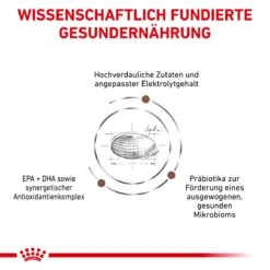 Royal Canin Gastrointestinal Trockenfutter Für Hunde 2 Kg Trockenfutter Für Hunde 12 Royal Canin Gastrointestinal Trockenfutter Für Hunde 2 Kg Trockenfutter Für Hunde -Haustier Lieferungen Geschäft p0NKRvr1tB5I 3182550905695 908 4