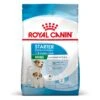 Royal Canin Mini Starter Trockenfutter 4 Kg Trockenfutter -Haustier Lieferungen Geschäft q1v8HmXbXvVZ 3182550932707 2504 Packshot