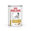 Royal Canin Urinary S/O Mousse Dosenfutter Für Hunde 12 X 200 G Mousse In Dosen -Haustier Lieferungen Geschäft qGWp4B4WtmQV 9003579310632 49 1