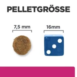 Hills Prescription Diet Canine Gastrointestinal Biome Mini Trockenfutter Für Hunde 1 Kg Trockenfutter Für Hunde -Haustier Lieferungen Geschäft r1ONgtKl7HJE 52742045597 5