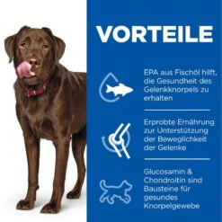 Hills Science Plan Canine Adult Healthy Mobility Large Breed Huhn Trockenfutter 14 Kg Trockenfutter -Haustier Lieferungen Geschäft rMHVNflOd8Kg 52742026015 3