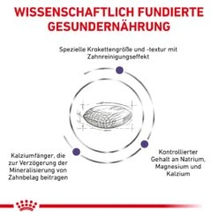 Royal Canin Dental Small Dogs Trockenfutter Für Hunde 1,5 Kg Trockenfutter Für Hunde -Haustier Lieferungen Geschäft sGLNU7LFzIe9 3182550783910 333 4