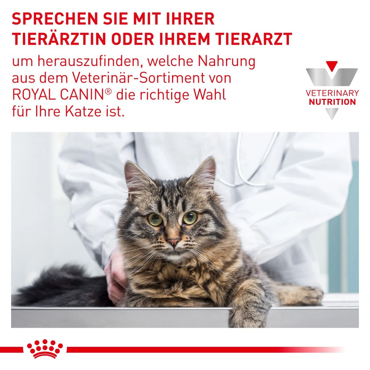 Royal Canin Gastrointestinal Moderate Calorie Katze Frischebeutel 12 X 85 G Frischebeutel Für Katzen 10 Royal Canin Gastrointestinal Moderate Calorie Katze Frischebeutel 12 X 85 G Frischebeutel Für Katzen – Bild 8