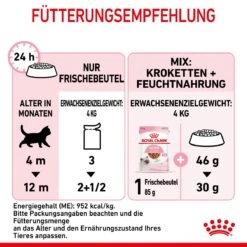Royal Canin Kitten Second Age Für Kätzchen Bis Zum 12. Monat 12 X 85 G In Soße Frischebeutel 19 Royal Canin Kitten Second Age Für Kätzchen Bis Zum 12. Monat 12 X 85 G In Soße Frischebeutel -Haustier Lieferungen Geschäft swkPm3vSjNsn 9003579308745 4501 8