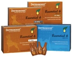 Selectavet Dermoscent Essential 6 Spot On 4 X 0,6 Ml Für Hunde (0 - 10 Kg)