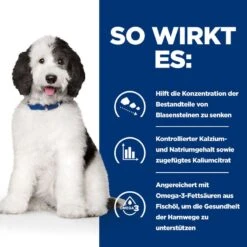 Hills Urinary Care C/d Multicare Ragout In Dosen Für Hunde 12 X 354 G Dosenfutter Für Hunde 11 Hills Urinary Care C/d Multicare Ragout In Dosen Für Hunde 12 X 354 G Dosenfutter Für Hunde -Haustier Lieferungen Geschäft tAk3hL0762mb 52742021324 3