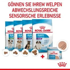 Royal Canin Starter Ultra Soft Mousse Für Welpen 12 X 195 G -Haustier Lieferungen Geschäft tvOHDJBAvpgi 9003579020036 4300 5