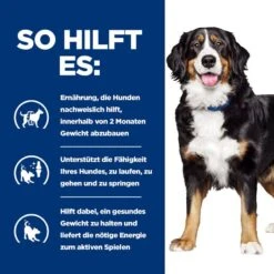 Hills Canine Metabolic + Mobility Trockenfutter Für Hunde 4 Kg Trockenfutter Für Hunde -Haustier Lieferungen Geschäft u6sdOkqa9Czq 52742000626 4