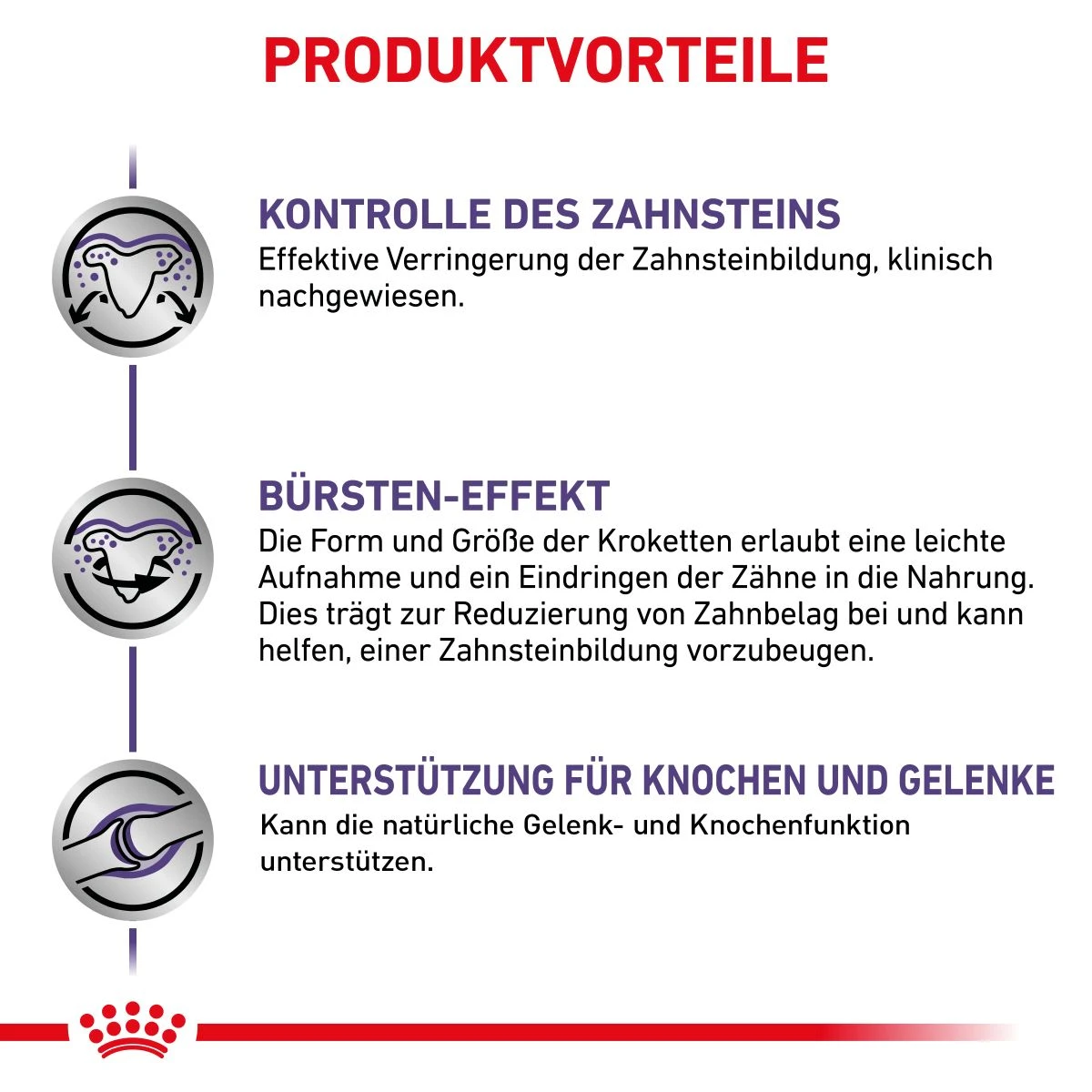 Royal Canin Dental Medium & Large Dogs Trockenfutter Für Hunde 6 Kg Trockenfutter Für Hunde 7 Royal Canin Dental Medium & Large Dogs Trockenfutter Für Hunde 6 Kg Trockenfutter Für Hunde – Bild 5