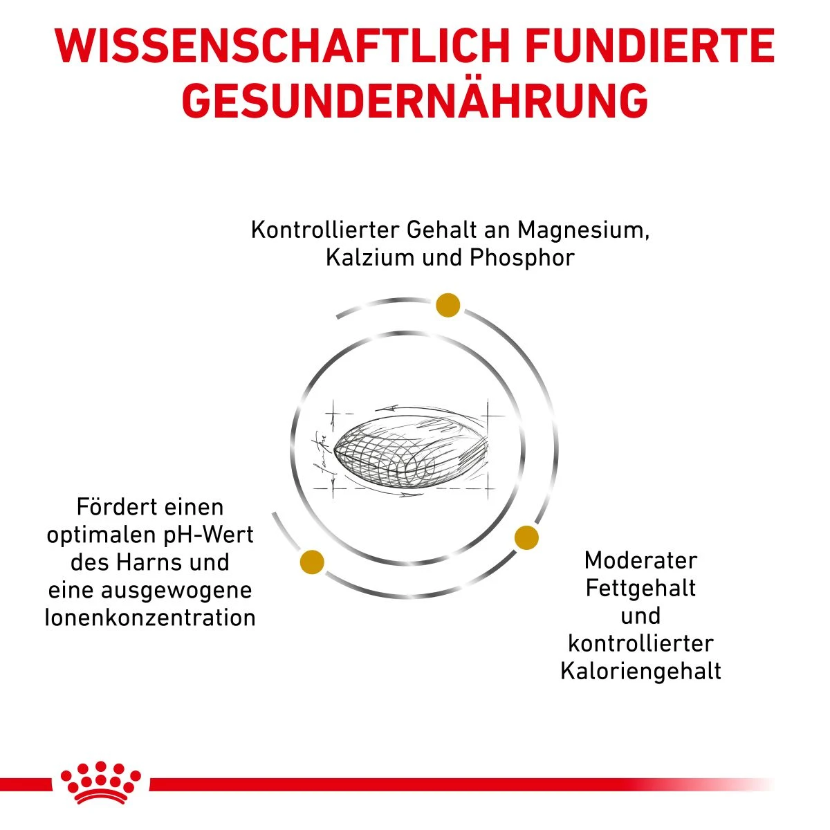 Royal Canin Urinary S/O Moderate Calorie Für Hunde 1,5 Kg Trockenfutter Für Hunde 5 Royal Canin Urinary S/O Moderate Calorie Für Hunde 1,5 Kg Trockenfutter Für Hunde – Bild 3