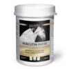 EQUISTRO Percutin Paste Fürs Pferd 2 Kg Percutin Paste -Haustier Lieferungen Geschäft vgFqULQKPpA5 vetoquinol percutin paste