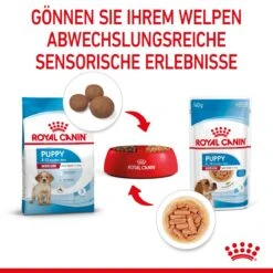 Royal Canin Medium Puppy Frischebeutel 10 X 140 G Frischebeutel Für Hunde 14 Royal Canin Medium Puppy Frischebeutel 10 X 140 G Frischebeutel Für Hunde -Haustier Lieferungen Geschäft w4m5n2ewUdRs 9003579008324 4711 5