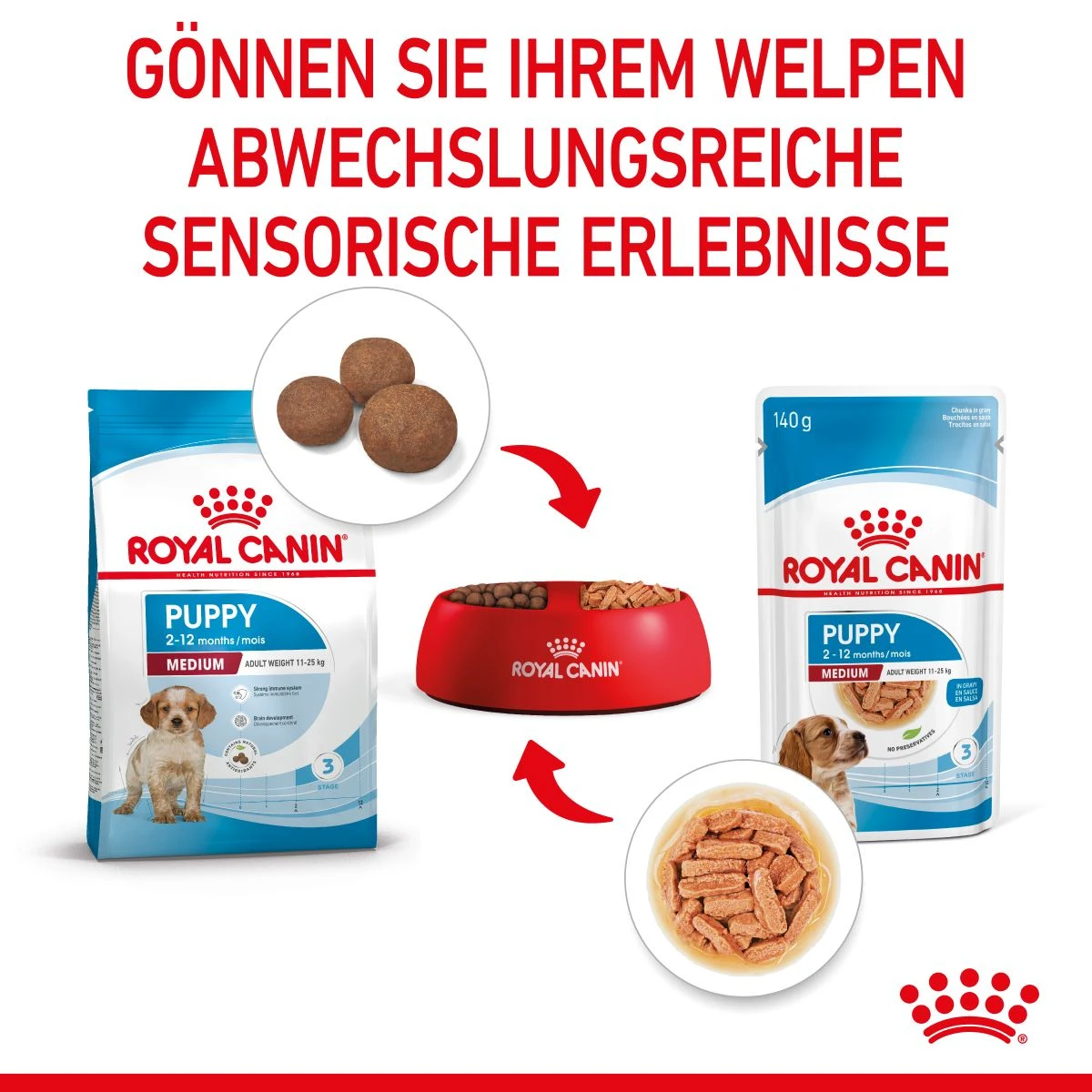 Royal Canin Medium Puppy Frischebeutel 10 X 140 G Frischebeutel Für Hunde 6 Royal Canin Medium Puppy Frischebeutel 10 X 140 G Frischebeutel Für Hunde – Bild 4