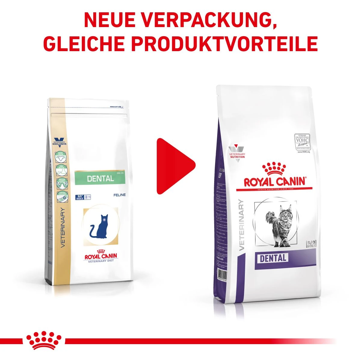Royal Canin Dental Trockenfutter Für Katzen 1,5 Kg Trockenfutter Für Katzen 9 Royal Canin Dental Trockenfutter Für Katzen 1,5 Kg Trockenfutter Für Katzen – Bild 7