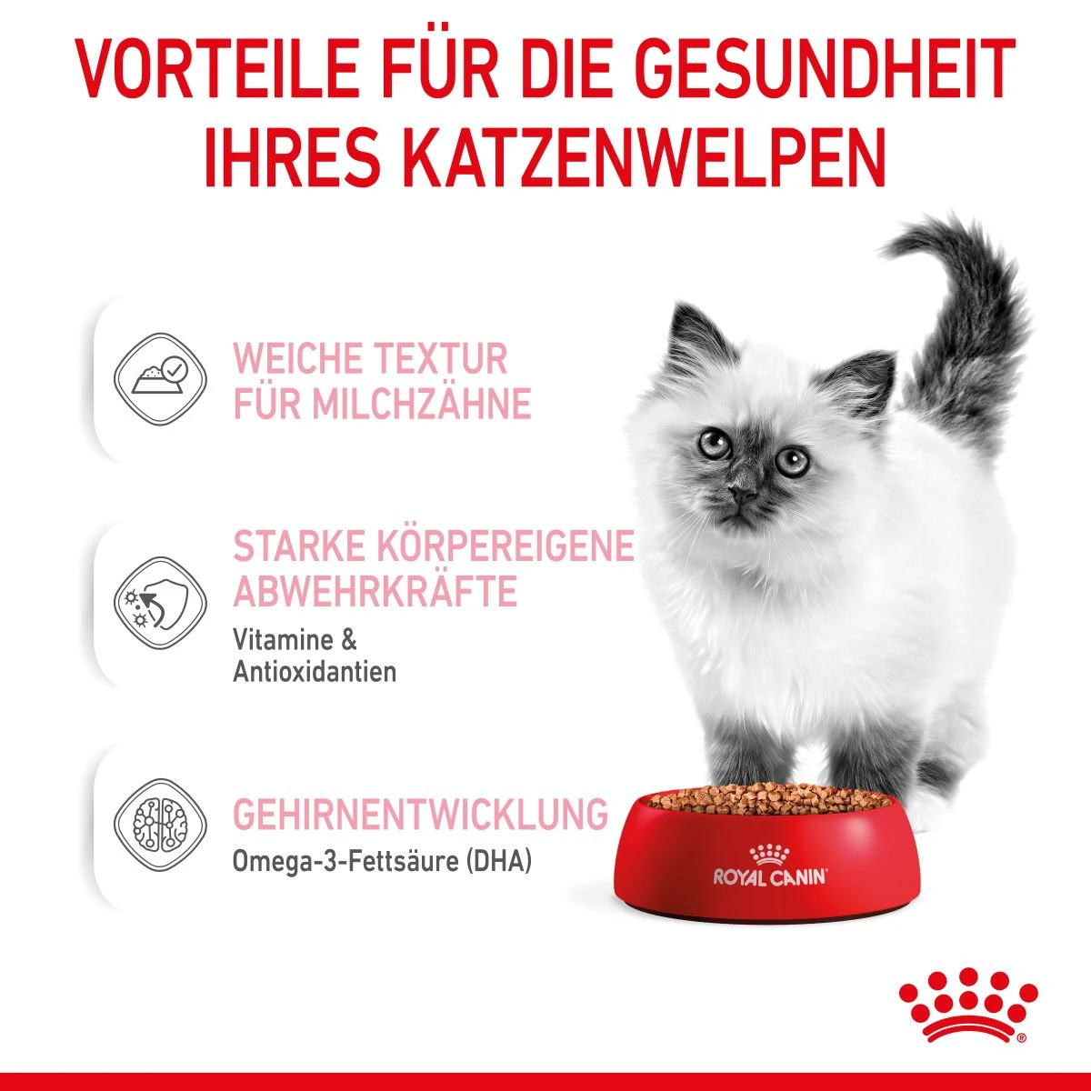 Royal Canin Kitten Second Age Für Kätzchen Bis Zum 12. Monat 12 X 85 G In Soße Frischebeutel 7 Royal Canin Kitten Second Age Für Kätzchen Bis Zum 12. Monat 12 X 85 G In Soße Frischebeutel – Bild 5