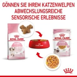 Royal Canin Kitten Frischebeutel Mit Gelee 12 X 85 G In Gelee Frischebeutel -Haustier Lieferungen Geschäft xsbWn6zUMmTR 9003579311783 4503 5