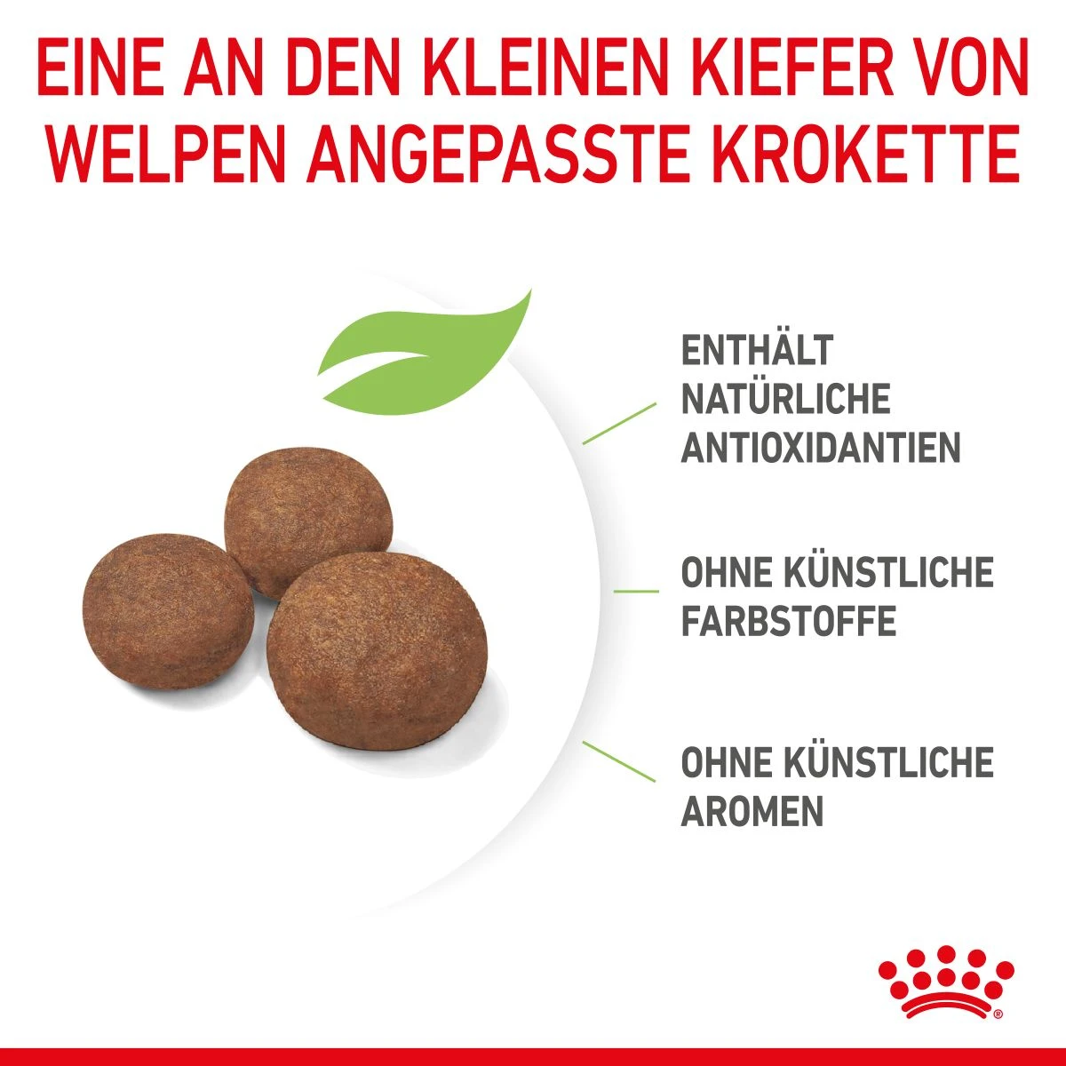 Royal Canin Medium Puppy Für Welpen Mittelgroßer Hunderassen 4 Kg Trockenfutter 8 Royal Canin Medium Puppy Für Welpen Mittelgroßer Hunderassen 4 Kg Trockenfutter – Bild 6