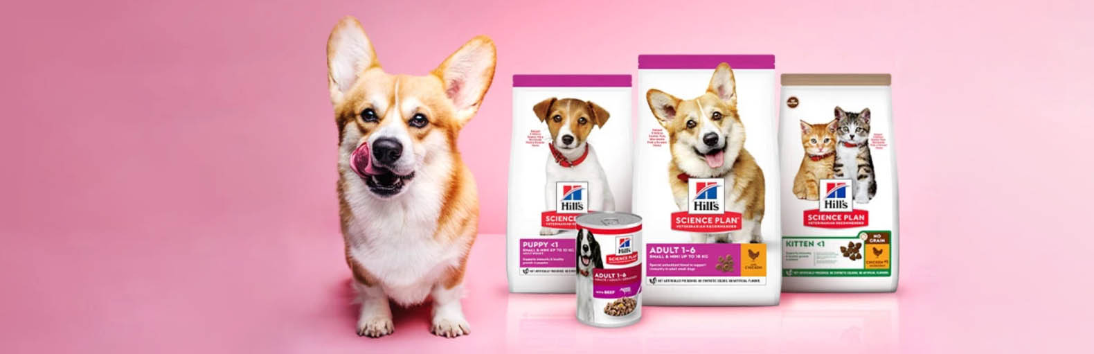 Haustier Lieferungen Geschäft -Haustier Lieferungen Geschäft GHJGHJ